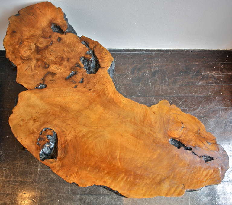 Large Tree Trunk Table Carl Auböck - Image 1