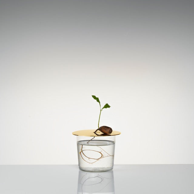 Floating Forest Series / Michael Anastassiades