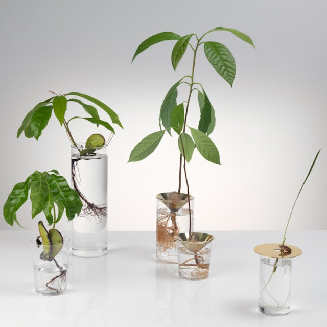 Floating Forest Series / Michael Anastassiades