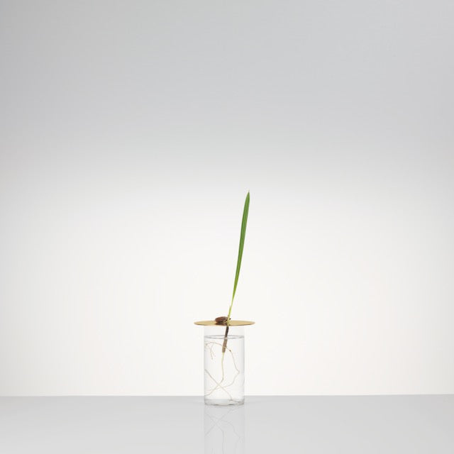 Floating Forest Series / Michael Anastassiades