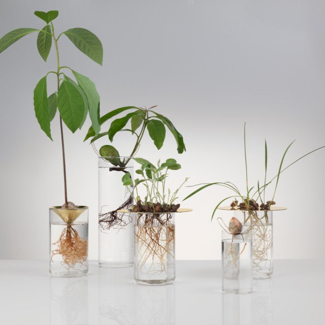 Floating Forest Series / Michael Anastassiades