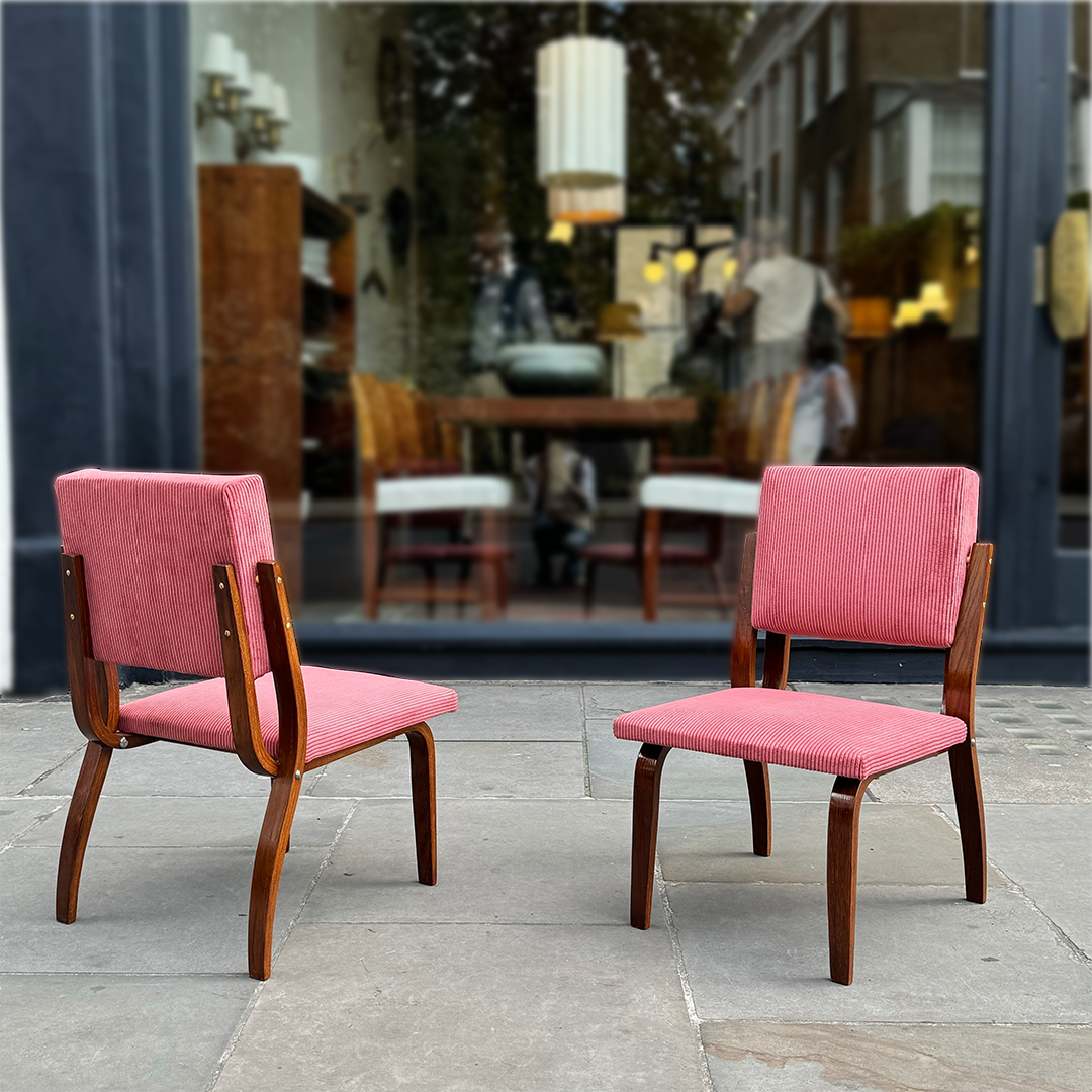 Bent Oak & Pink Cord Chairs/ Dřevopodnik Holešov/ Czech Republic, 1970s