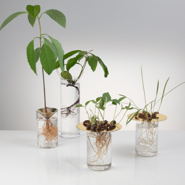 Floating Forest Series / Michael Anastassiades