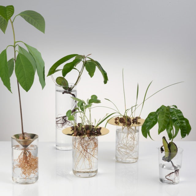 Floating Forest Series / Michael Anastassiades