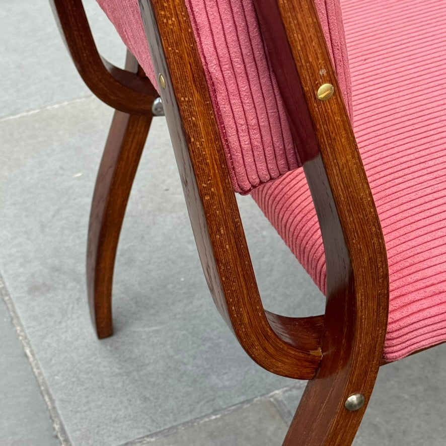 Bent Oak & Pink Cord Chairs/ Dřevopodnik Holešov/ Czech Republic, 1970s