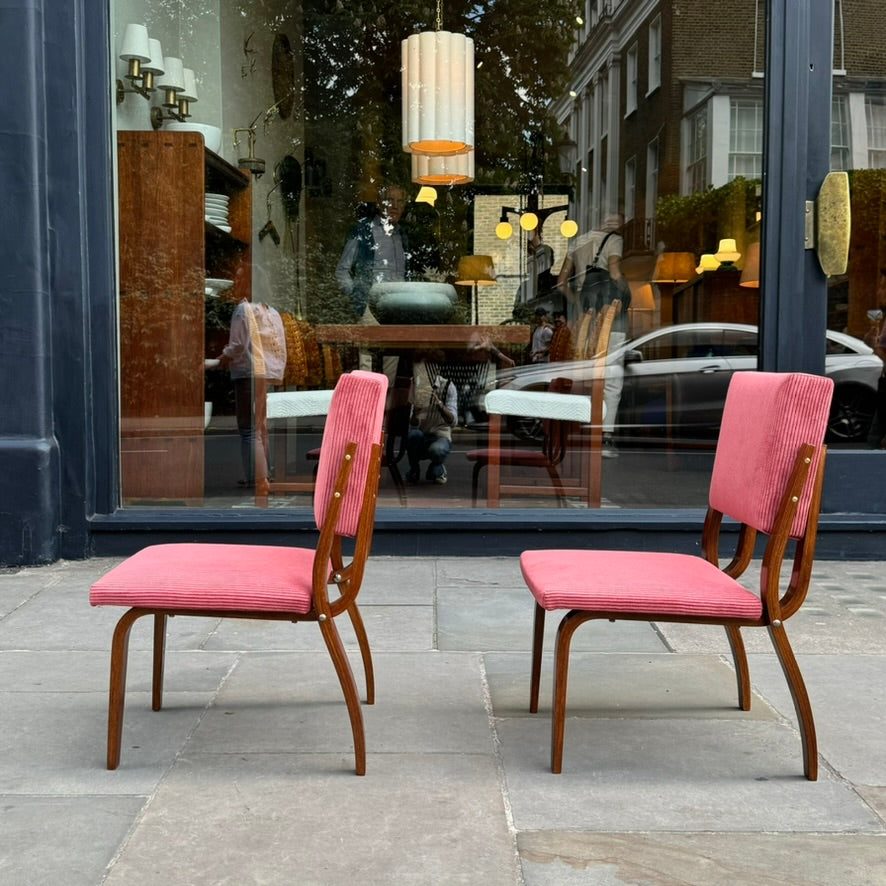 Bent Oak & Pink Cord Chairs/ Dřevopodnik Holešov/ Czech Republic, 1970s