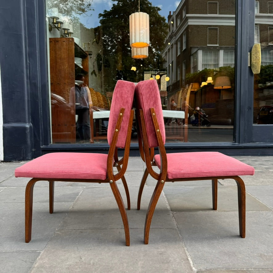 Bent Oak & Pink Cord Chairs/ Dřevopodnik Holešov/ Czech Republic, 1970s