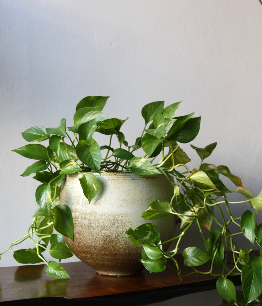 Large Planter / White Glaze / KH Würtz