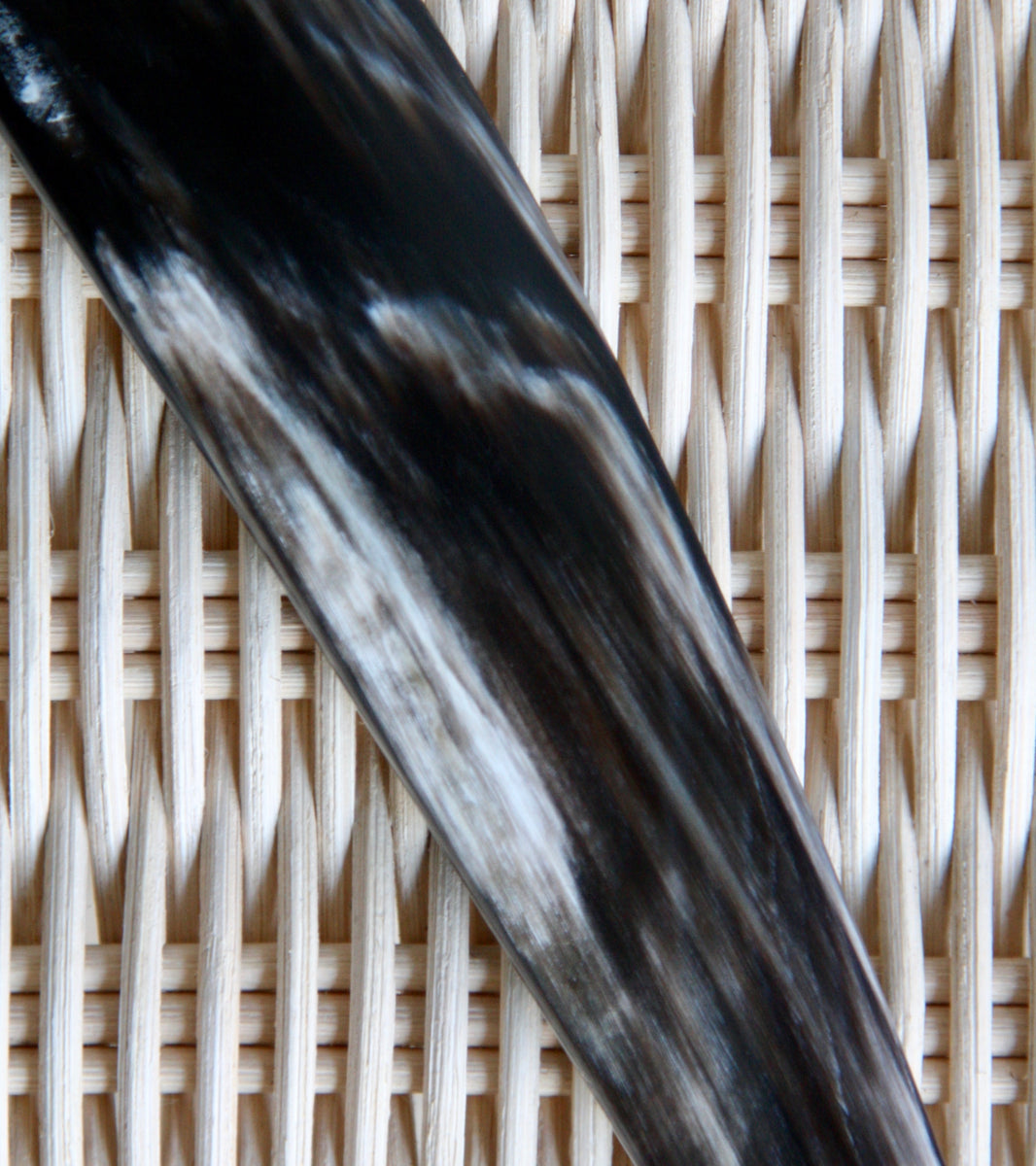 grain of Hungarian cow horn