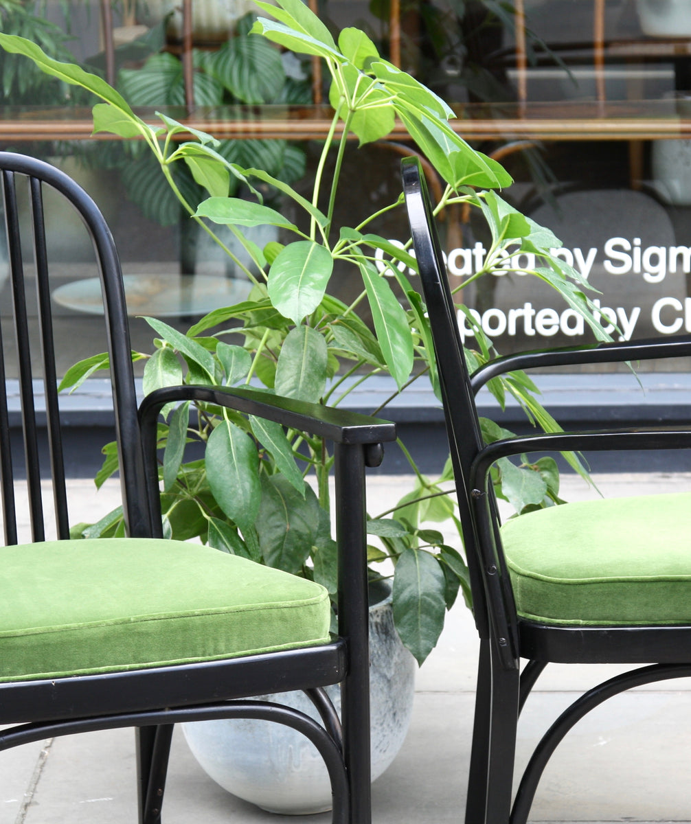 A Pair of Black Lacquered Bentwood Armchairs / J & J Kohn / Circa 1910