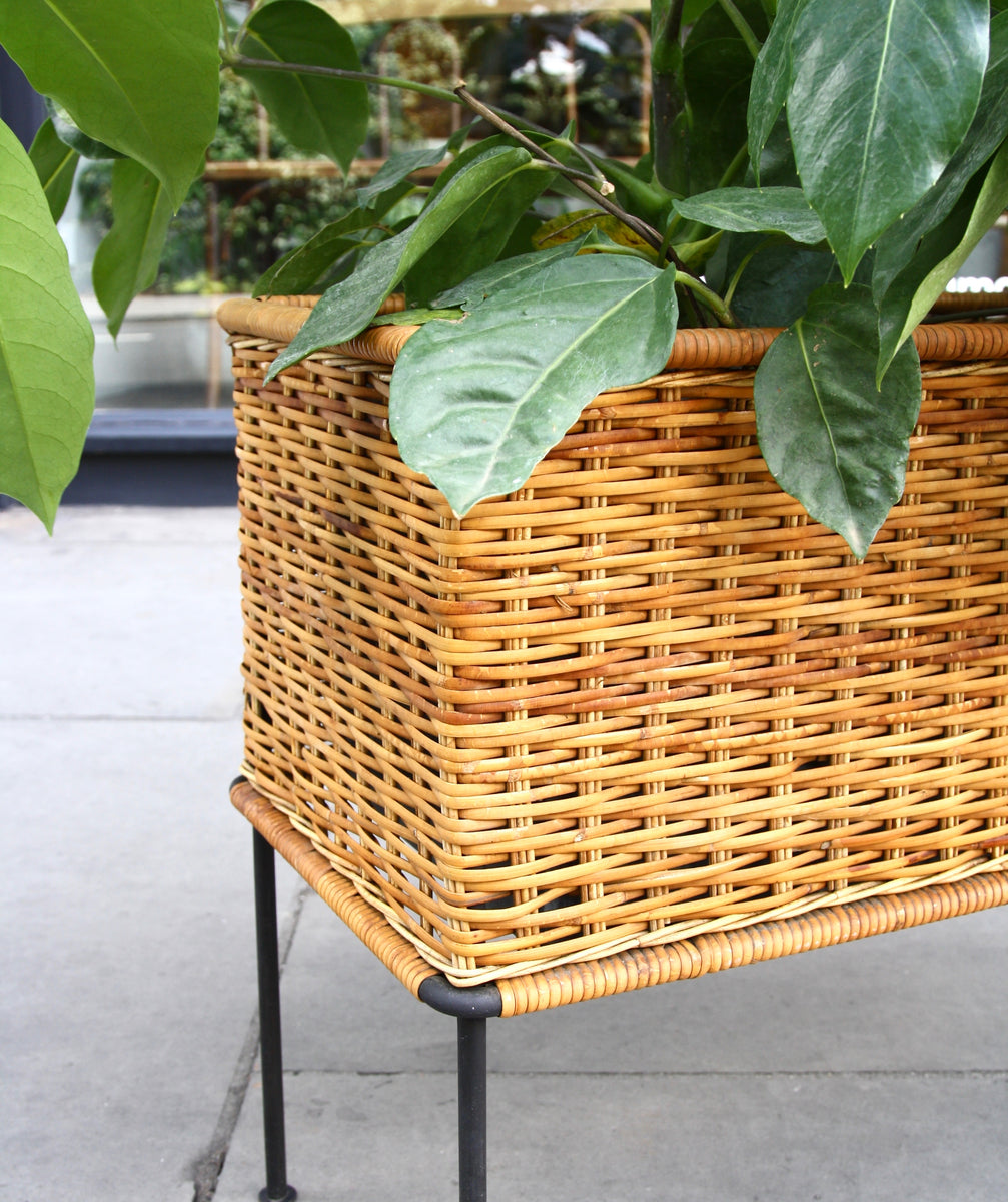 Rectangular Wicker Planter <br>by Carl Auböck
