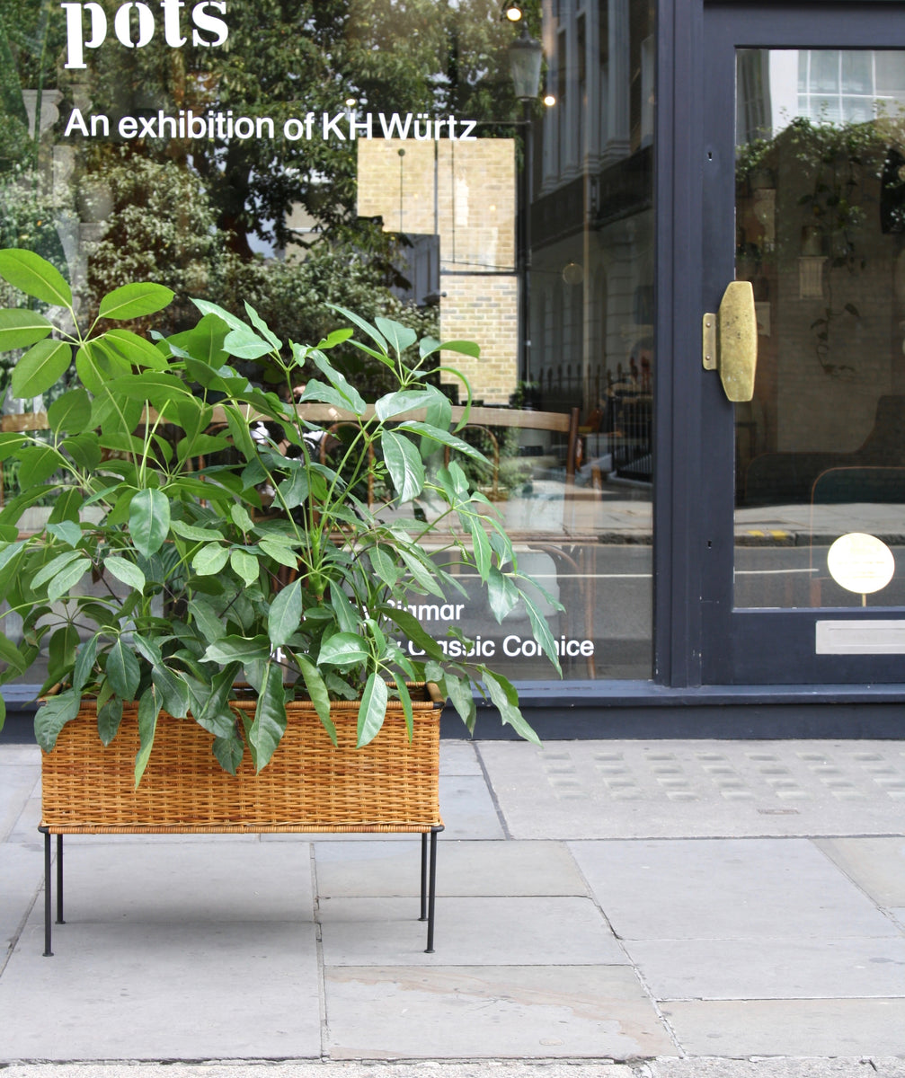 Rectangular Wicker Planter <br>by Carl Auböck