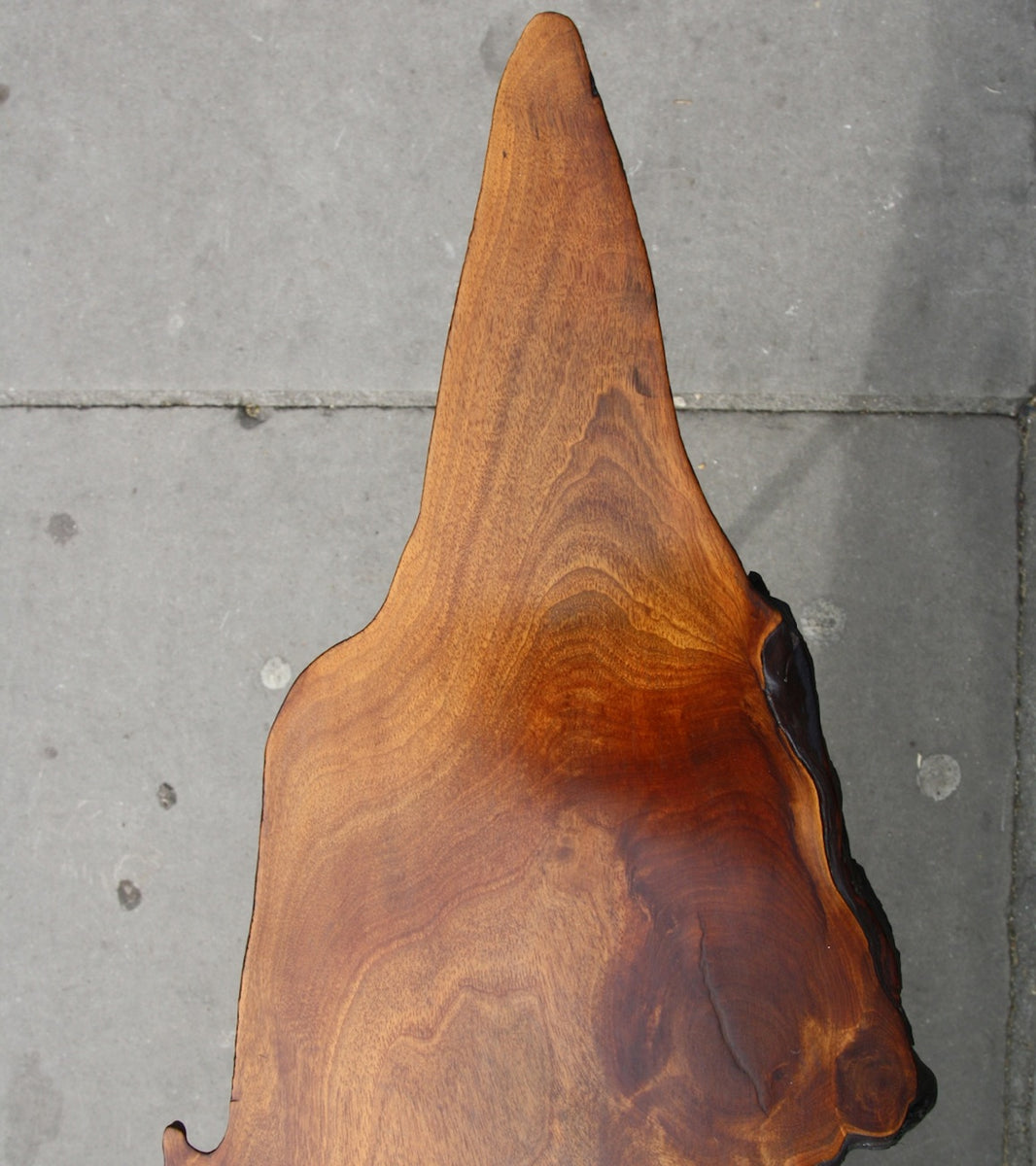 Elongated Tree Trunk Table Carl Auböck - Image 9