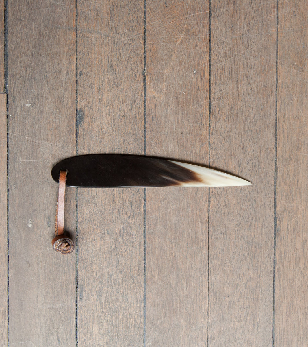 Horn Letter Opener #1 Carl Auböck - Image 7