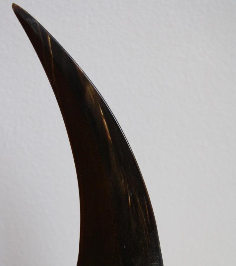 Horn Letter Opener Carl Auböck - Image 10