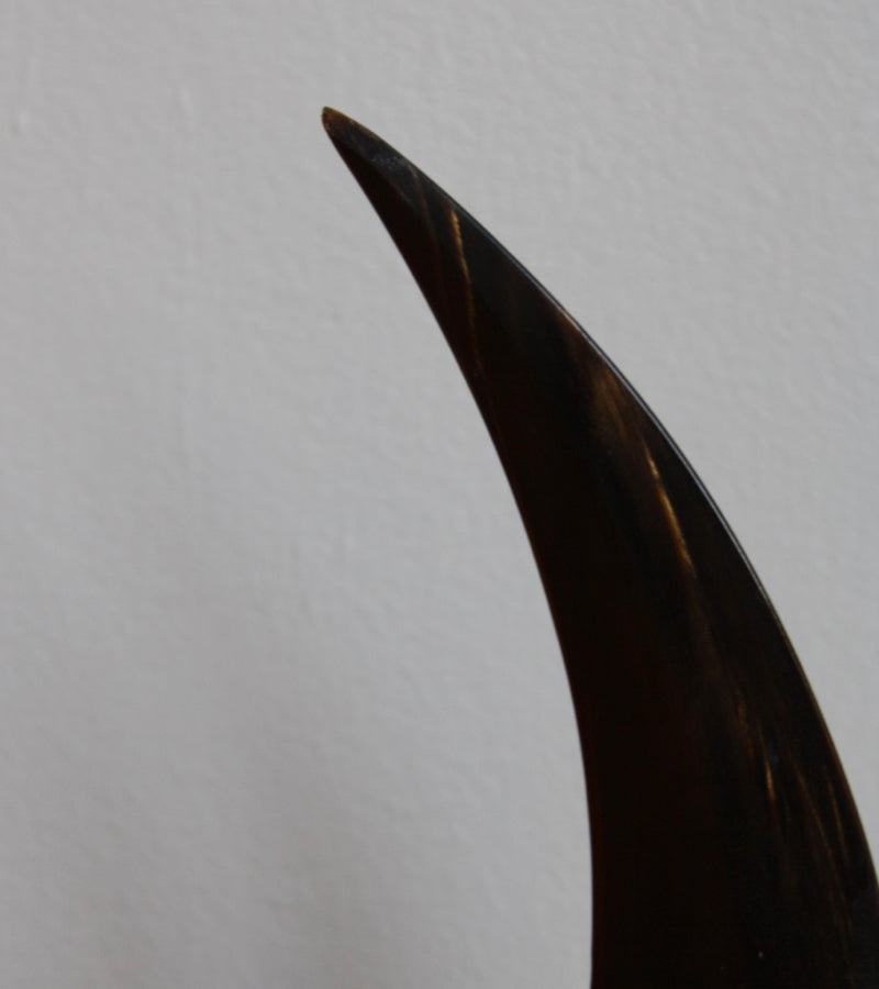 Horn Letter Opener Carl Auböck - Image 12