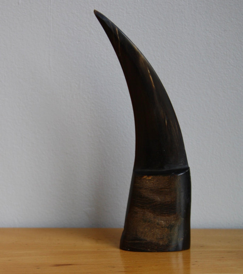 Horn Letter Opener Carl Auböck - Image 2