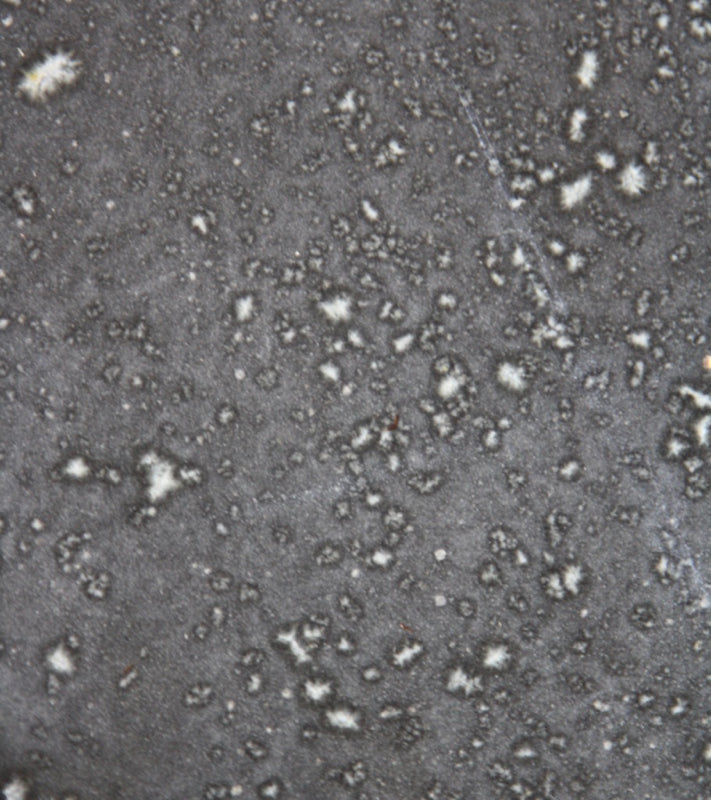 Large Flat Plate 6Black & White Glaze Kasper Würtz - Image 9
