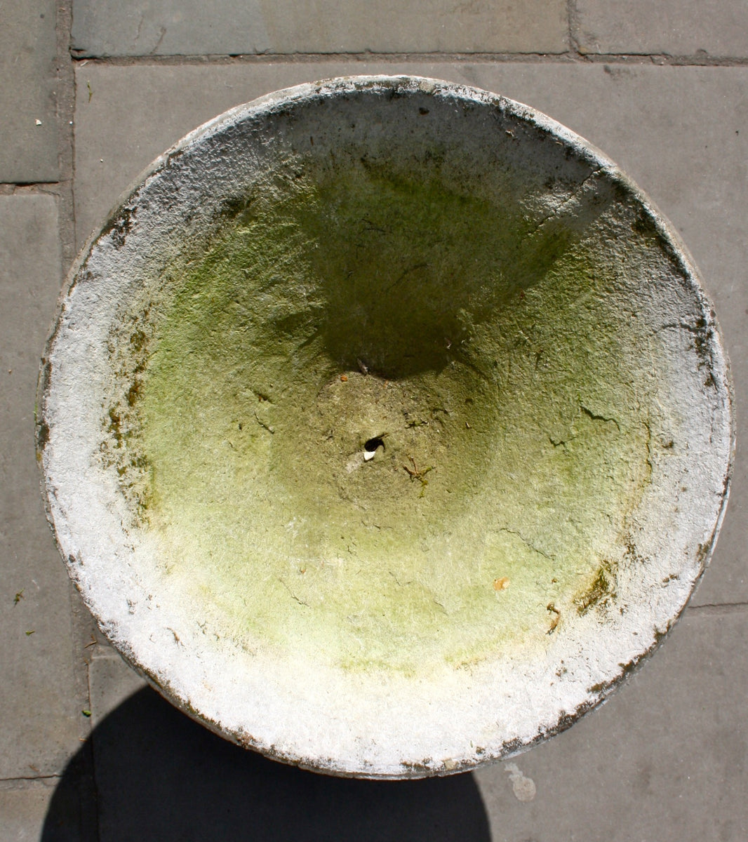 Planter  Willy Guhl  - Image 5