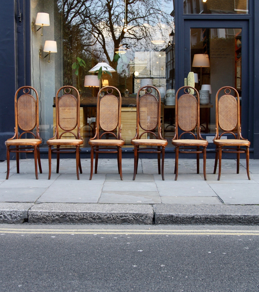 Set of Six No.17's Michael Thonet  - Image 12